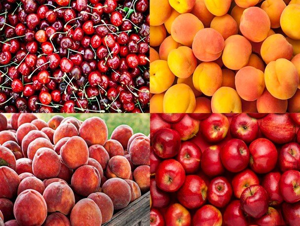 قیمت-برخی-میوه‌های-تابستانه-۸۵-درصد-کاهش-یافت