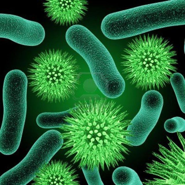 میکروب-ها-قبل-از-رسیدن-اکسیژن-به-زمین،-آرسنیک-تنفس-می-کردند-