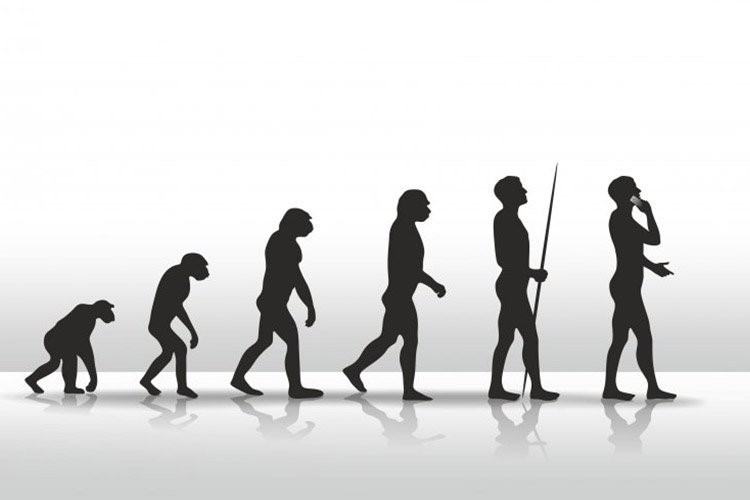 تکامل-به-زبان-ساده-نظریه-تکامل-داروین-چه-می‌گوید-