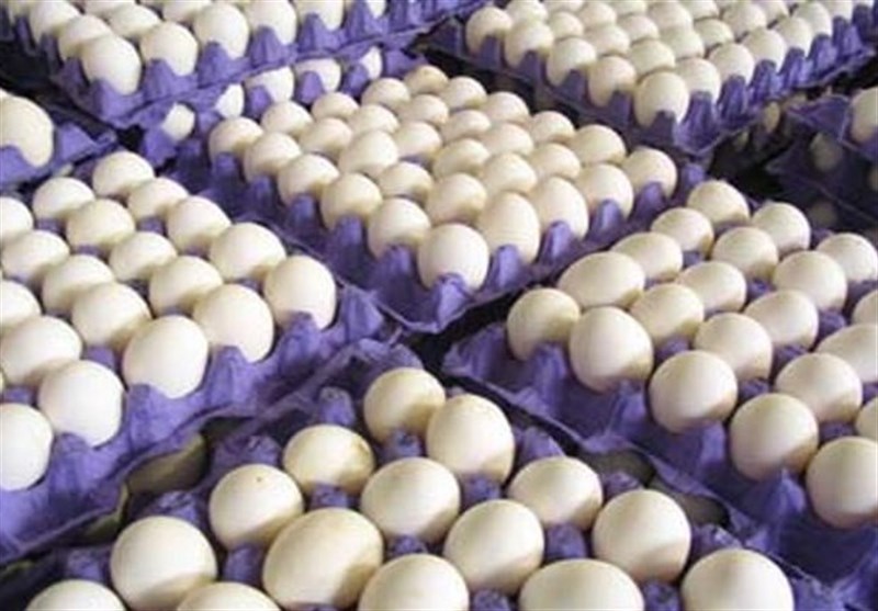 بازگشت-قیمت-تخم-مرغ-به-۱۴۵۰۰-تومان-تا-۲-روز-آینده