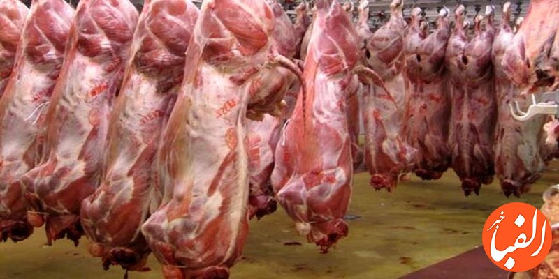 ساماندهی-توزیع-گوشت-گوسفندی-توسط-اتحادیه-و-تولیدکنندگان-عمده