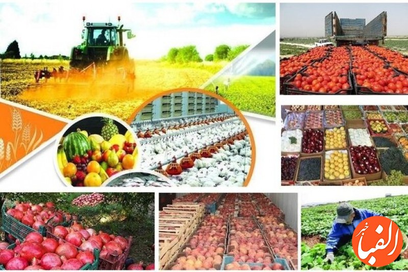 تصویب-تسهیلات-۱۵هزار-میلیاردی-برای-خریدمحصولات-کشاورزی-درسال-جاری