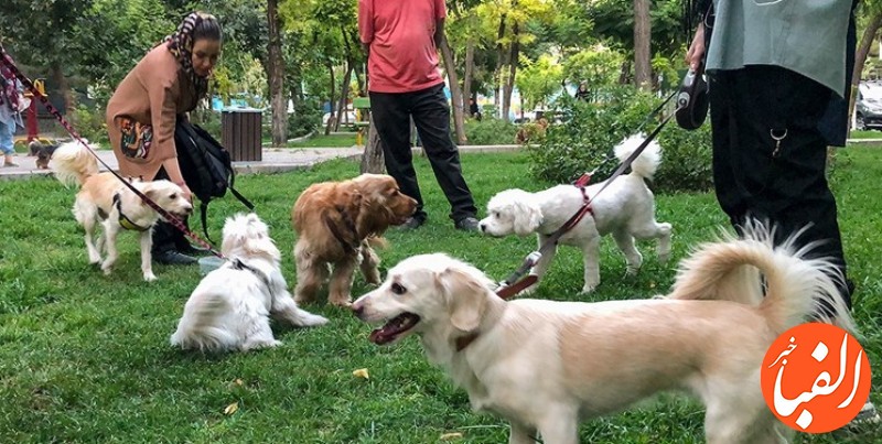 ورود-سگ-به-تمامی-پارک-های-تهران-ممنوع-است