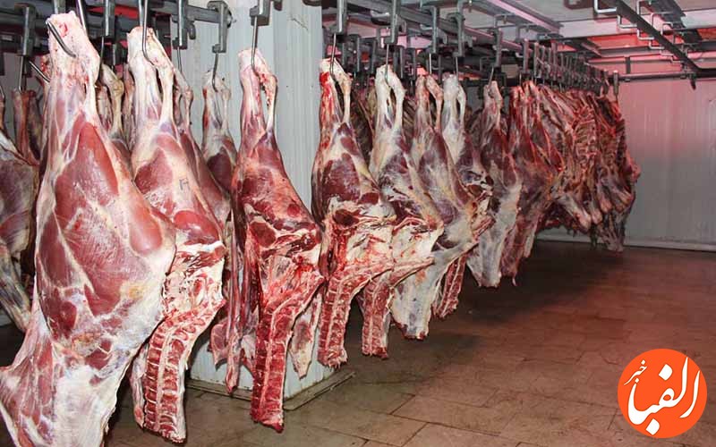 حضور-محسوس-دلالان-در-افزایش-قیمت-گوشت-گوساله