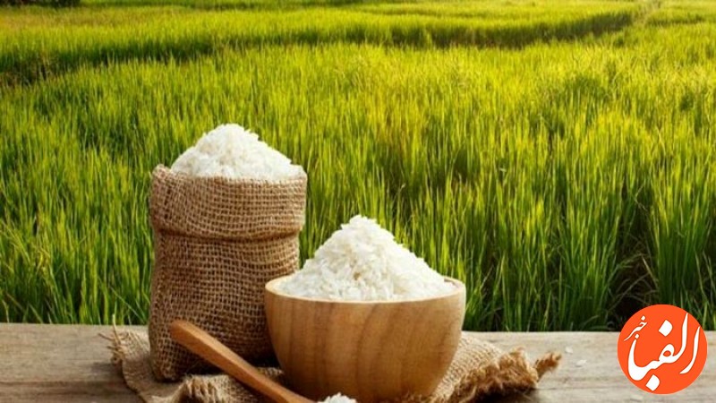 ارائه-پیشنهاداتی-برای-تنظیم-بازار-برنج