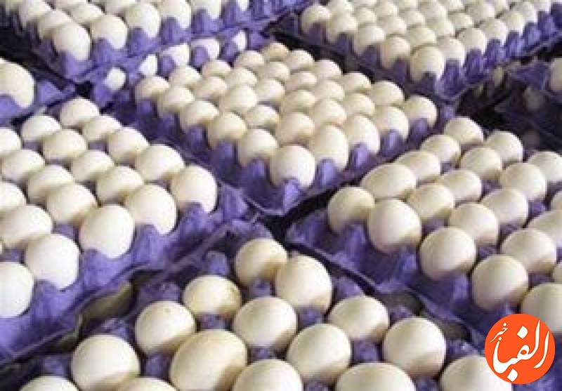 وعده-ی-هفته-گذشته-جهاد-کشاورزی-برای-ارزانی-تخم-مرغ-به-کجا-رسید