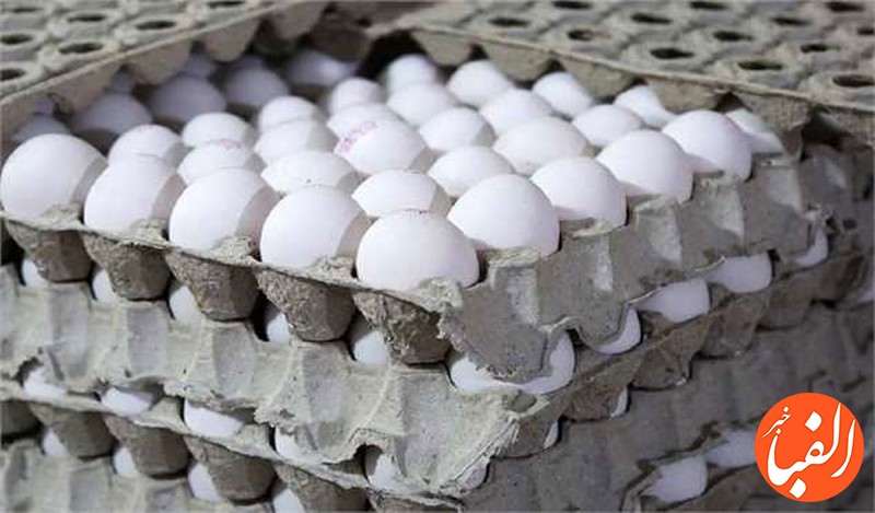 علت-گرانی-تخم-مرغ-چیست