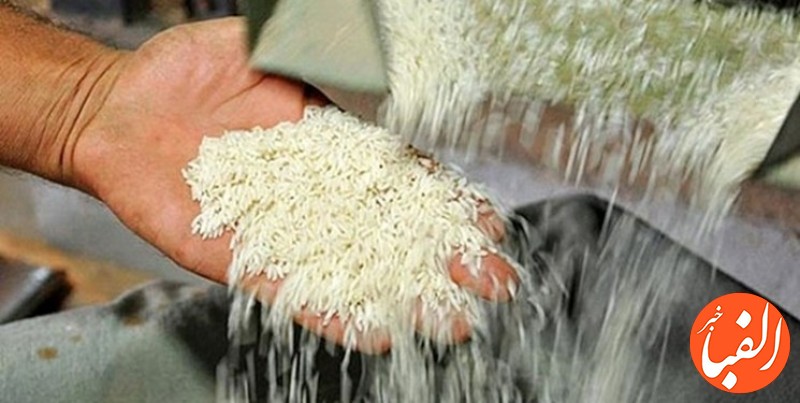کاهش-قیمت-هر-کیلو-برنج-تا-۸-هزار-تومان