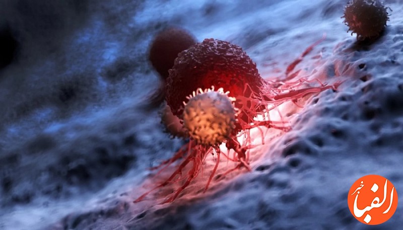 افزایش-پاسخ-ایمنی-به-رشد-تومور-سرطانی-توسط-واکسن