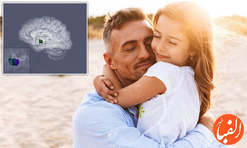 ساختار-مغز-پدرانی-که-وقت-بیشتری-با-فرزند-می-گذرانند-متفاوت-است