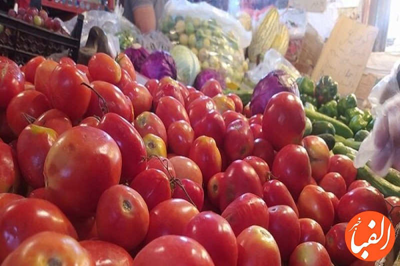 علت-افزایش-نرخ-گوجه-فرنگی-در-بازار-داخلی-چیست