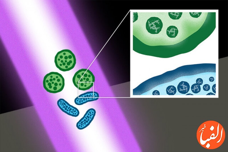 بررسی-فناوری-مبتنی-بر-لیزر-که-باکتری-ها-و-ابرمیکروب-های-مقاوم-را-از-بین-برد