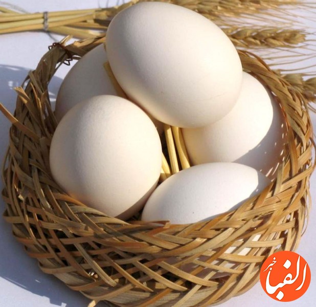 قیمت-جدید-تخم-مرغ-در-۴-دی-۱۴۰۰