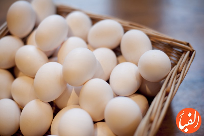 قیمت-جدید-تخم-مرغ-در-بازار-۱۸-بهمن-جدول