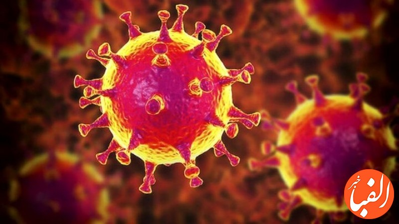 باز-هم-گونه-جدید-ویروس-کرونا-در-جهان-پیدا-شد