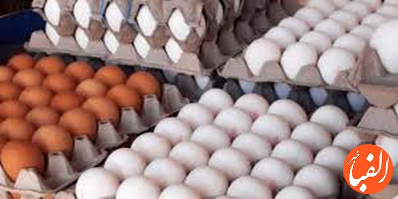 علت-دو-نرخی-بودن-تخم-مرغ-در-بازار-چیست