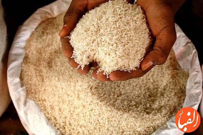 قیمت-برنج-امروز-27-بهمن-1400-این-برنج-ارزان-شد