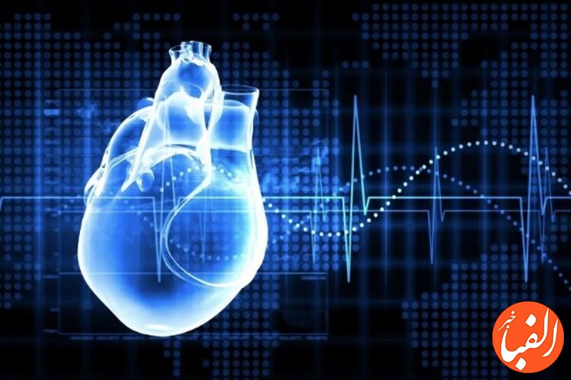 ۲۰-دقیقه-فعالیت-در-روز-برای-حفظ-سلامت-قلب-مفید-است