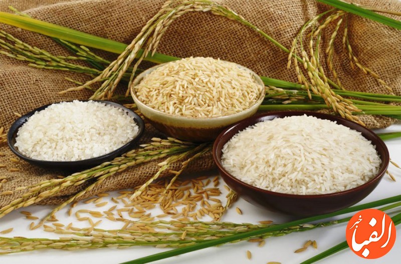قیمت-جدید-برنج-ایرانی-و-خارجی-در-بازار-جدول