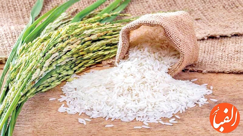 برنج-احتکار-شده-به-قیمت-مصوب-توزیع-می-گردد
