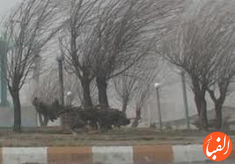 احتمال-وقوع-وزش-باد-شدید-در-تهران