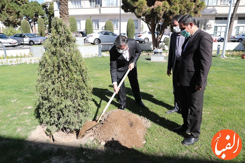 کاشت-درخت-توسط-مدیرعامل-بانک-ملی-ایران-به-مناسبت-روز-درختکاری