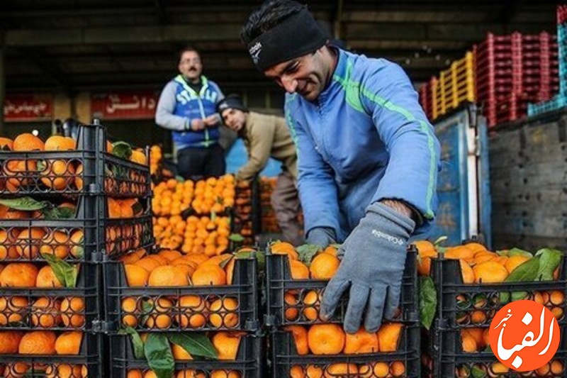 کاهش-۲۵-درصدی-مصرف-میوه-در-کشور
