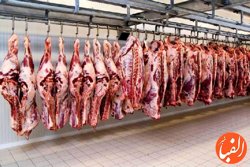دستور-دولت-برای-واردات-گوشت-گرم-گوسفندی-تا-سقف-۱۰-هزار-تن