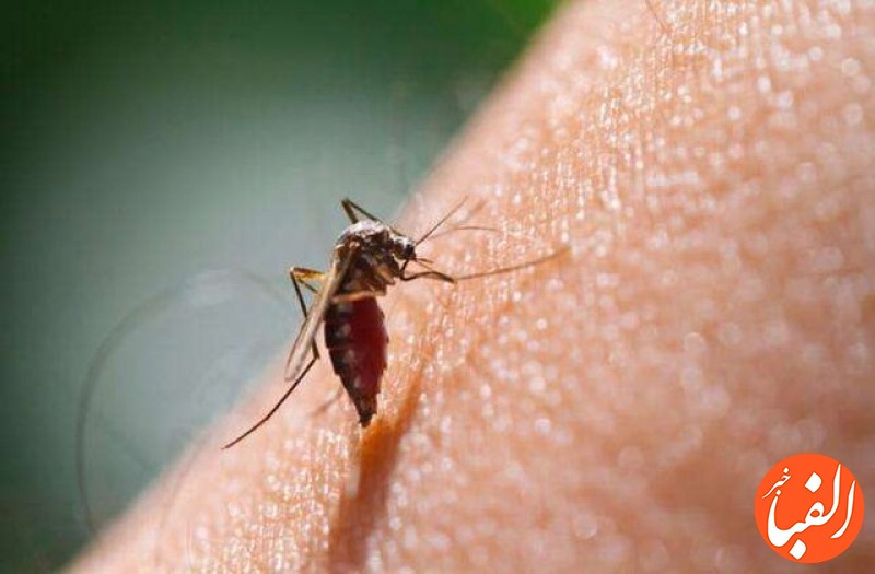 تایید-روش-درمانی-جدید-مالاریا-برای-کودکان