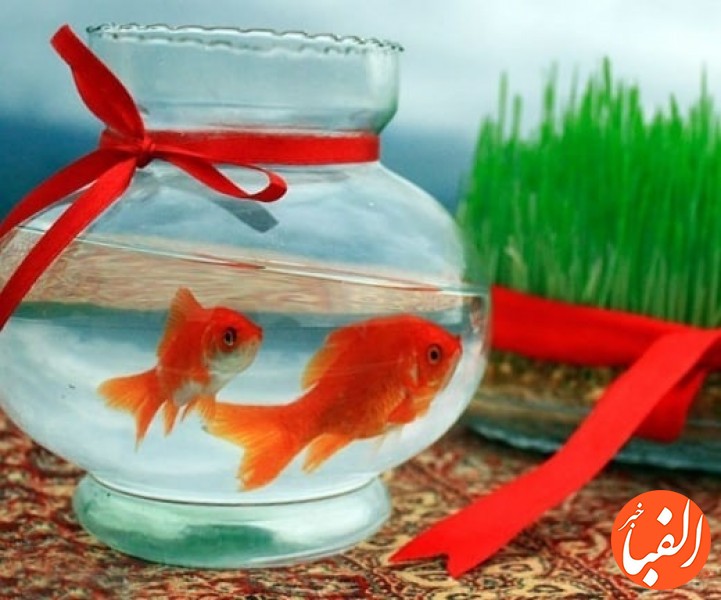 ماهی-قرمز-بخریم-یا-نخریم-اشغال-آب-های-ایران-توسط-یک-هیولای-کوچک