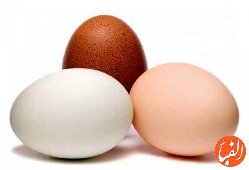 تخم-مرغ-سفید-و-قهوه-ای-چه-تفاوتی-با-هم-دارد