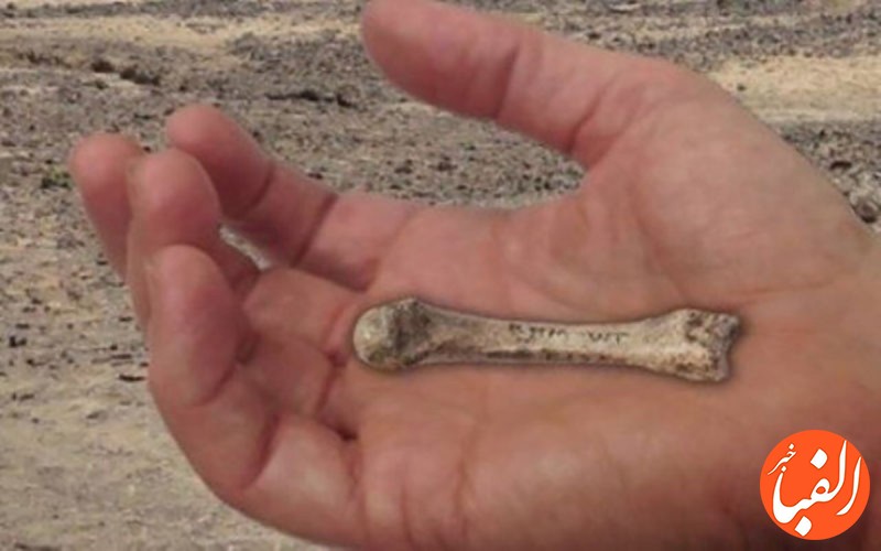 ماجرای-استخوان-های-کشف-شده-انسان-در-یزد-چه-بود