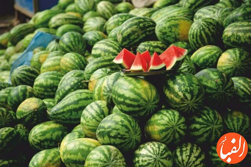 چرا-صادرات-هندوانه-ایران-به-عمان-ممنوع-شد
