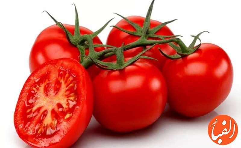 قیمت-هر-کیلو-گوجه-فرنگی-به-25-هزار-تومان-رسید