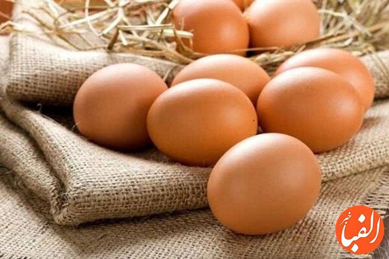 قیمت-جدید-مرغ-و-تخم-مرغ-در-بازار-۲۳-فروردین