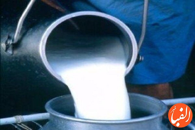 اصلاح-قیمت-شیرخام-در-دولت-سیزدهم-برای-حمایت-از-دامداران