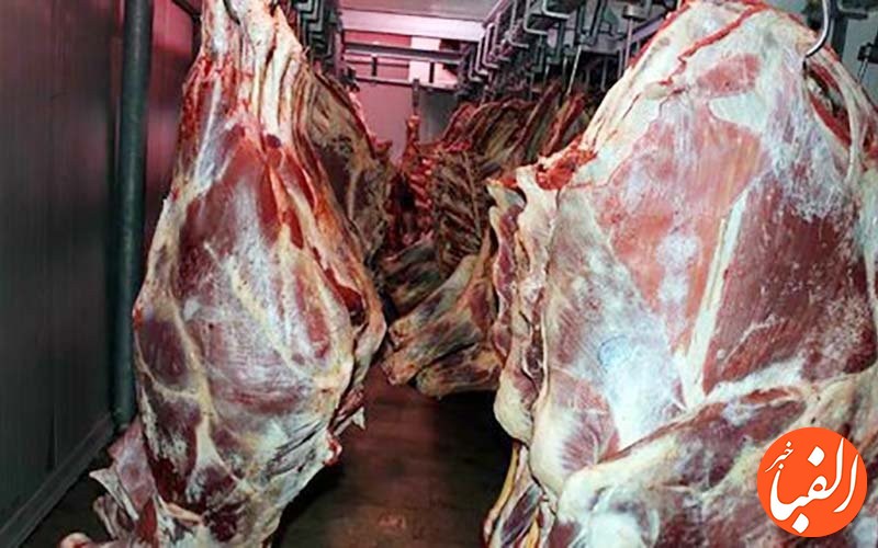 قیمت-گوشت-۲۰-اردیبهشت-۱۴۰۱-میزان-سرانه-مصرف-گوشت-در-وضعیت-قرمز