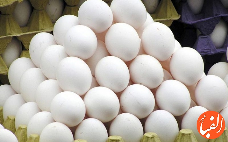 کمبودی-در-بازار-تخم-مرغ-نداریم