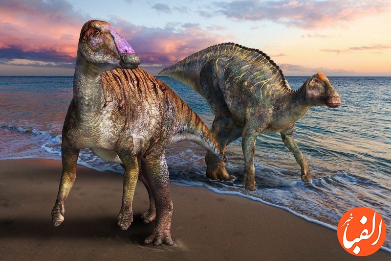 کشف-یک-دایناسور-جدید-در-ژاپن