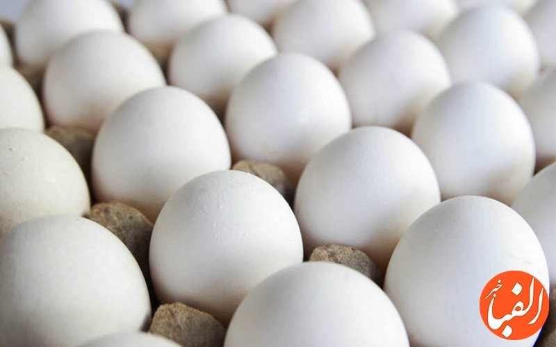 تخم-مرغ-های-صادرشده-در-آستانه-فاسد-شدن-هستند
