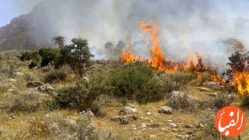 علت-آتش-سوزی-پارک-جنگلی-شهید-باهنر-اراک-مشخص-شد