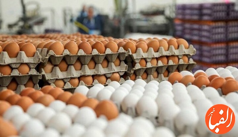 یک-شانه-تخم-مرغ-به-۹۰-هزار-تومان