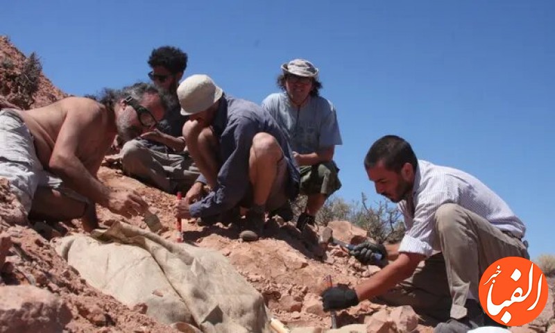 کشف-فسیل-دایناسور-زرهی-در-آرژانتین