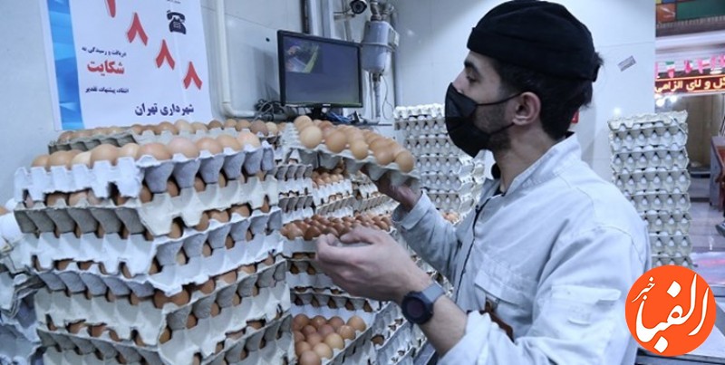 خبر-وزیر-جهاد-کشاورزی-درباره-اصلاح-قیمت-مرغ-و-تخم-مرغ
