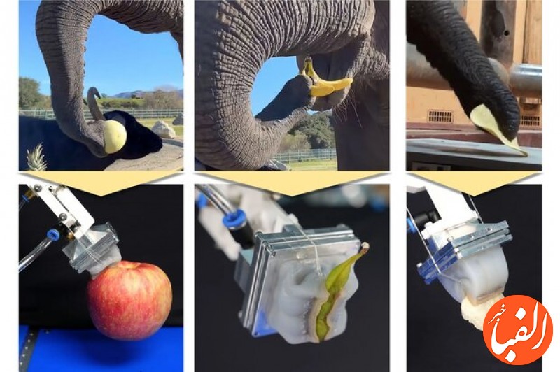 طراحی-نخستین-دست-رباتیکی-با-الهام-از-خرطوم-فیل