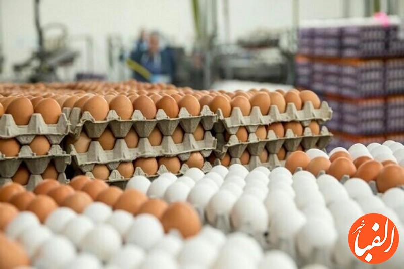 قیمت-جدید-تخم-مرغ-در-میادین-میوه-و-تره-بار-1