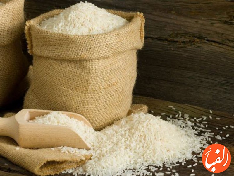 گلایه-برنجکاران-از-سود-فروش-برنج