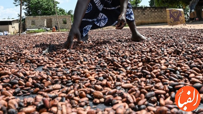 اتحادیه-اروپا-درصدد-تدوین-قانونی-برای-عدم-استفاده-از-نیروی-کار-کودک-در-مزارع-کاکائو
