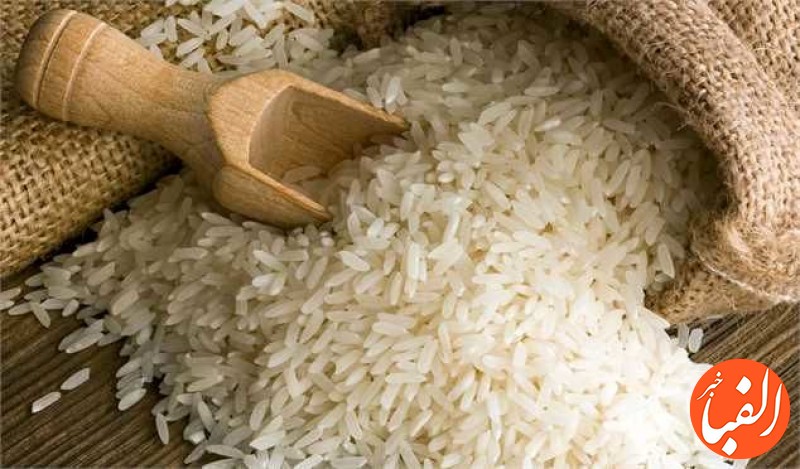واردات-برنج-ممنوع-شد