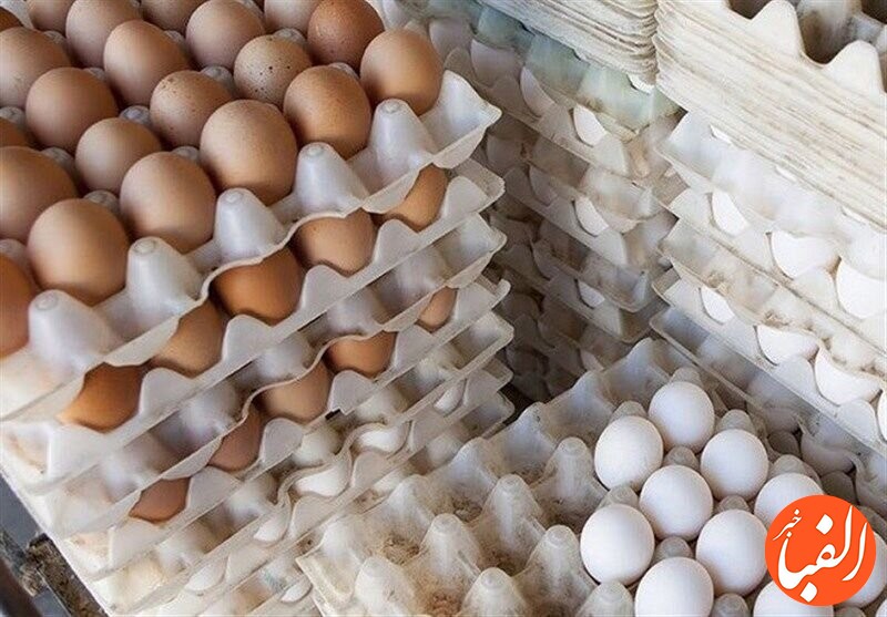 افزایش-تقاضا-تخم-مرغ-را-گران-کرد